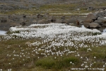 KULUSUK TASSIILAQ03 2490